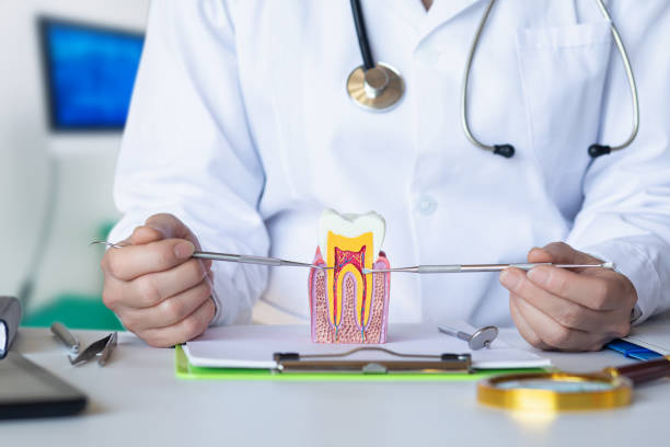 Mobile Emergency Dentist